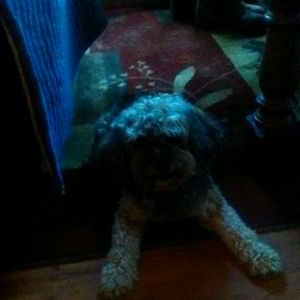 Meet your Posher, Gabrielle